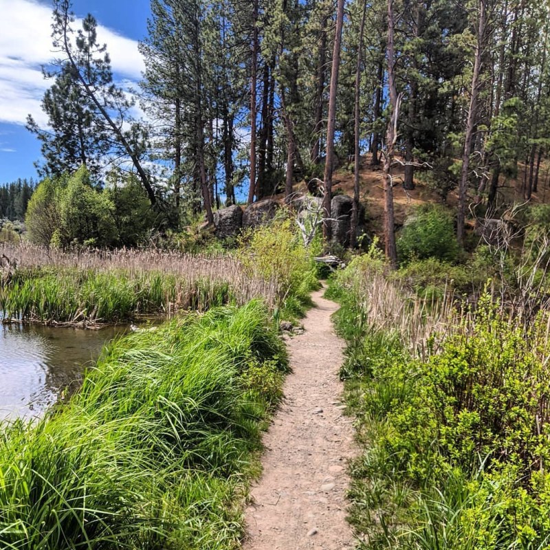 The Deschutes River&nbsp;Trail